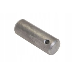 P5s55101101 kėlimo cilindro kaištis 20 x 55 m