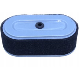 Oro filtras robin ex13 ex17 ex21