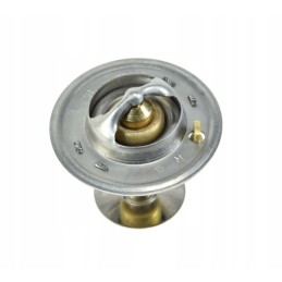 Termostatas mf4 1000 01 82 c 54mm tv 28 82