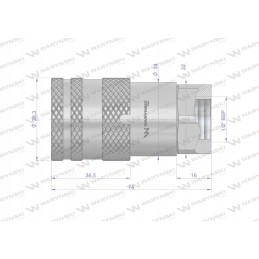 Hidraulinė greitoji mova su sausu atjungimo lizdu g