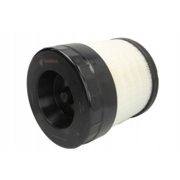 Donaldson išjungtas x770684 oro filtras