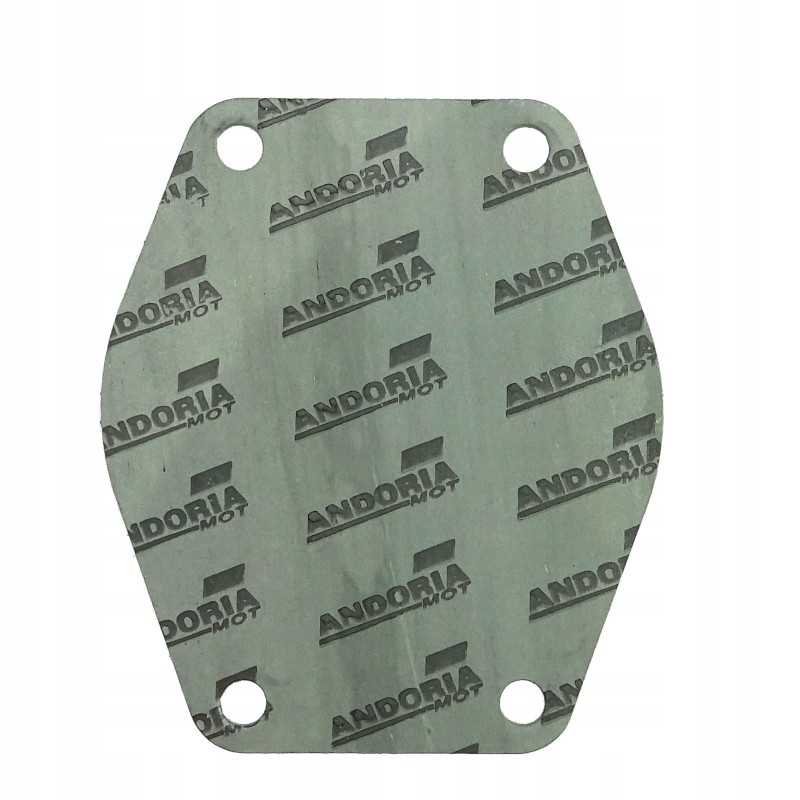 Vandens siurblio cilindro bloko tarpinė mf3 krazel