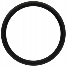 Oring fendt x548939066000