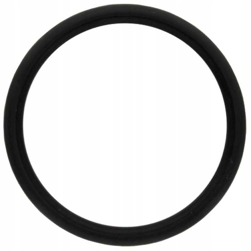 Oring fendt x548939066000