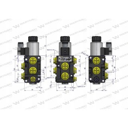 Solenoidinis krypties skirstytuvas g1 2 50l Warynski