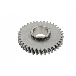 P5m37201107 krumpliaratis 37 dantukai