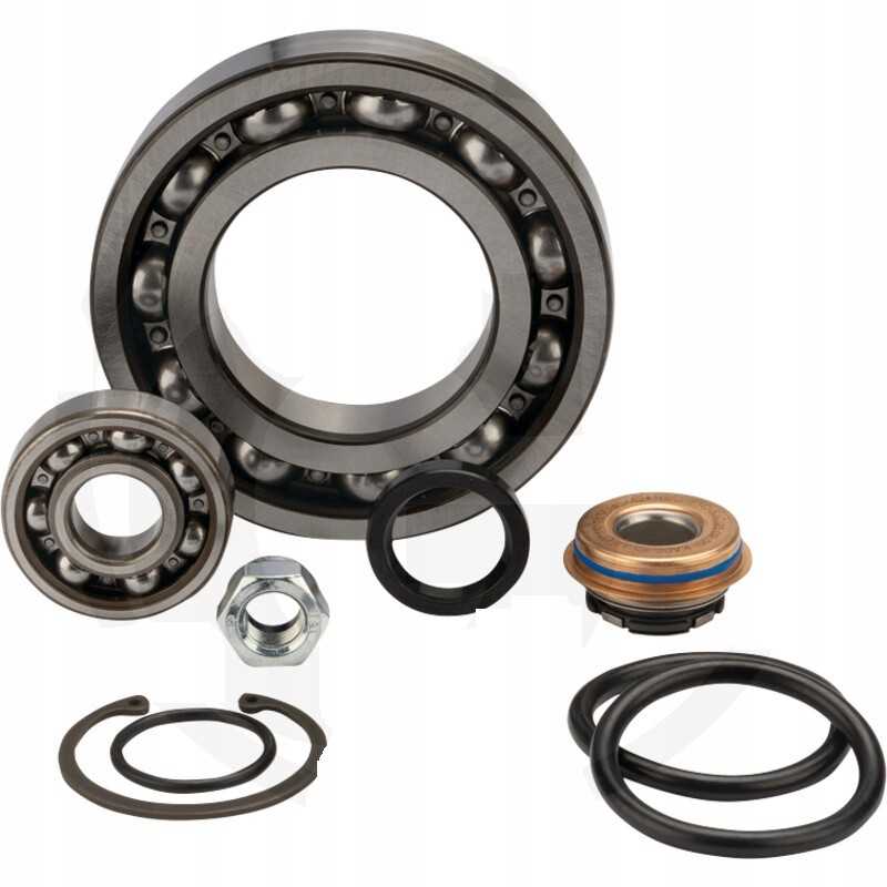 Massey Ferguson vandens siurblio remonto rinkinys