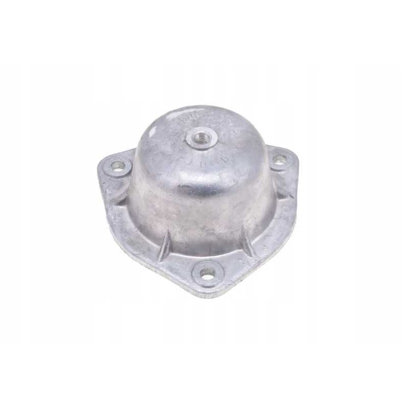 100055605 galinio rato stebulės korpusas