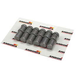 Andoria mot zetor stop svirties atraminis kaištis