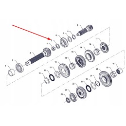 P5m37201124 pusžiedžių rinkinys