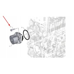 K0067029 flanšo varžtas 8 x 30