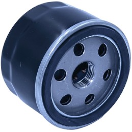 Alyvos filtras bs briggs stratton vejapjovė