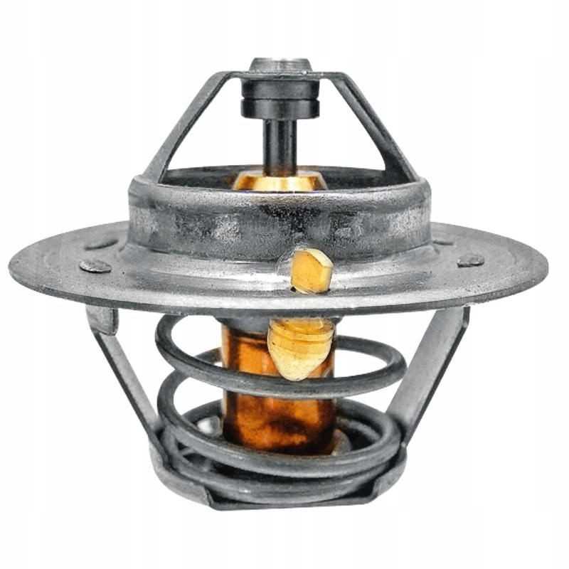 Termostatas Renault 6005022968