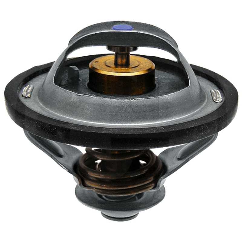 Termostatas 81 c 60mm 74717124 granitas