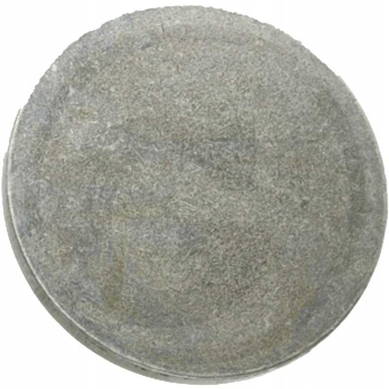 Slėgio plokštės krumpliaračio velenas dana spicer