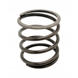 Volvo kelioninė variklio spyruoklė 8230 15150