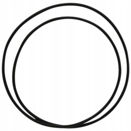 O formos žiedo stebulė 159001 05 1119 dana prieskonis