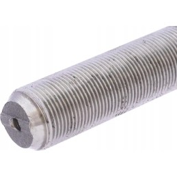 Vairo traukės galas