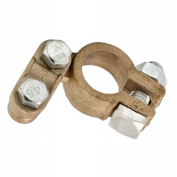 Teigiamas akumuliatoriaus gnybtas t bizonas