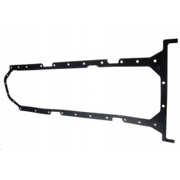 Alyvos kasetės tarpiklis 6 cil. C 385 Čekų