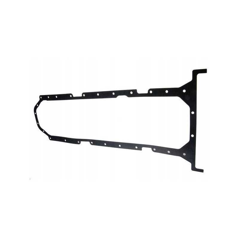 Alyvos kasetės tarpiklis 6 cil. C 385 Čekų