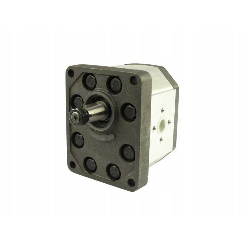 Massey Ferguson 3549613M91 hidraulinis siurblys