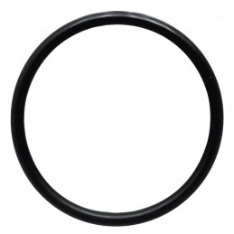 Oringo korpusas 3055389r2