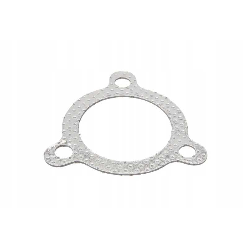 Va207436 duslintuvo tarpiklis