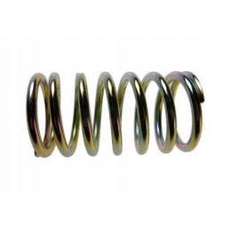 Didelė spyruoklė c 385