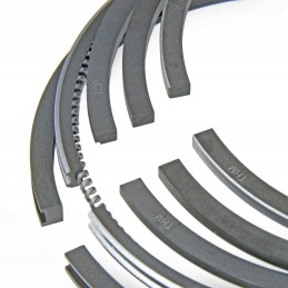 Žiedų rinkinys ursus c 360 95 00 std stūmokliams