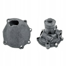 Vandens siurblys Renault 6005025575 6005031342