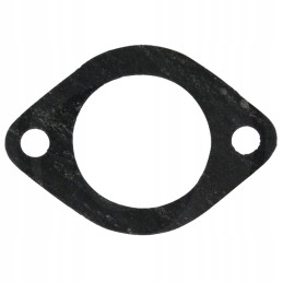 Case ih tarpiklis 74702038 granitas