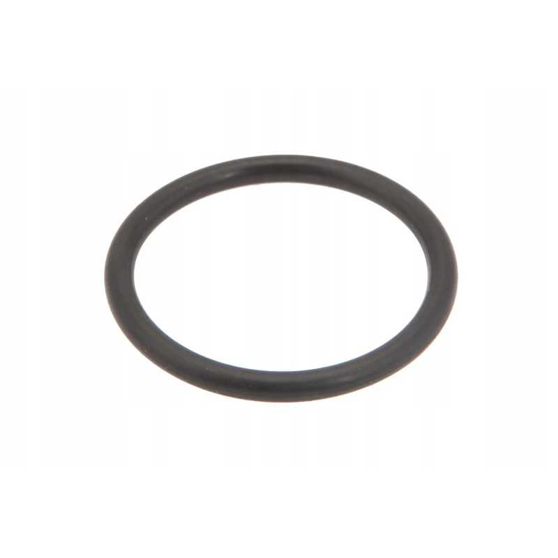 V614602930 termostato korpuso sandarinimo žiedas