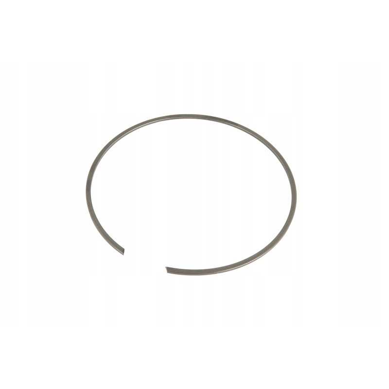 X533825600000 išsiplėtimo žiedas 160 x 2 5