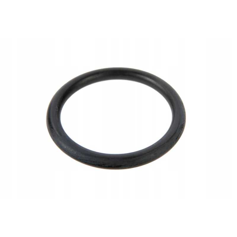 368374x1 hidraulinio lizdo sandarinimo žiedas 20 29 x 2 62