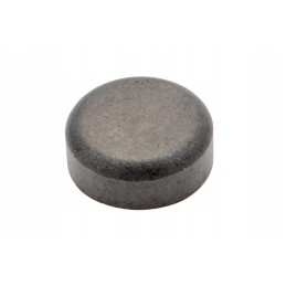 F716201210210 metalinis kaištis variklio galvutei