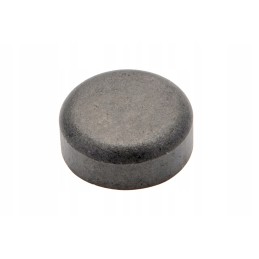 F716201210210 metalinis kaištis variklio galvutei