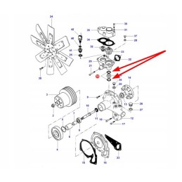 V614602950 vandens siurblio sandarinimo žiedas