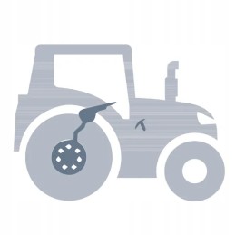 Stabdžių diskas mf