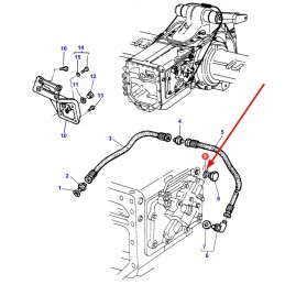3019455x1 žiedas ornig 23 7 x 2 8