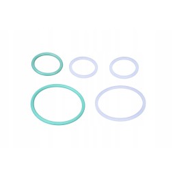 F716100430020 vožtuvų sandarikliai