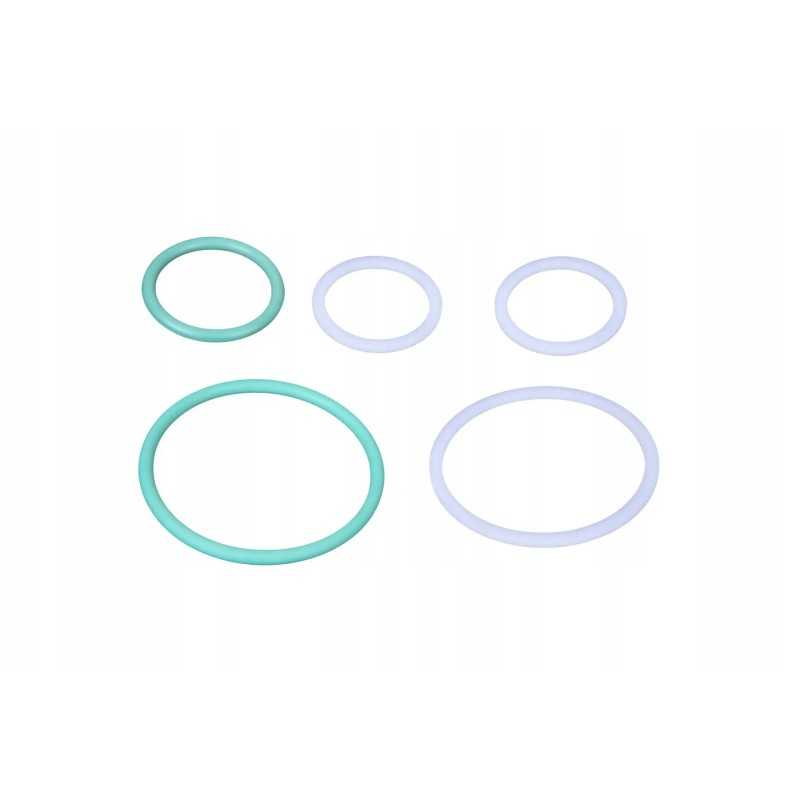 F716100430020 vožtuvų sandarikliai