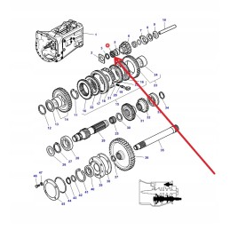 183039m1 pavarų dėžės guolio adata 3 x 19