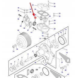 74715189 O žiedas vandens snapeliui 50 x 5 6