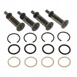 Vožtuvų komplektas hidrauliniam siurbliui mf3, 4 vožtuvai