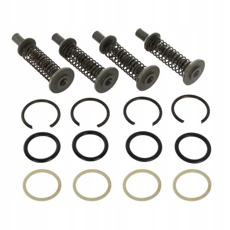 Vožtuvų komplektas hidrauliniam siurbliui mf3, 4 vožtuvai