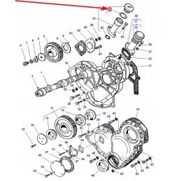 3641231m1 alyvos pildymo angos dangtelio sandarinimo žiedas