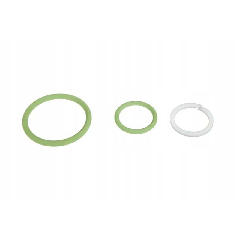 F931962025040 atbulinio vožtuvo sandarikliai