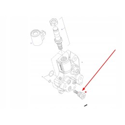 F931962025040 atbulinio vožtuvo sandarikliai