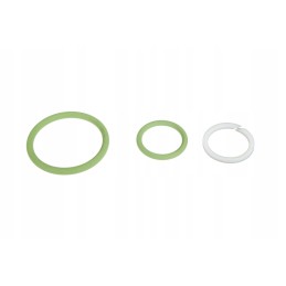 F931962025040 atbulinio vožtuvo sandarikliai